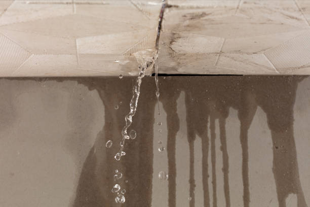 Professional Water Damage Repair technician working in Winlock, WA